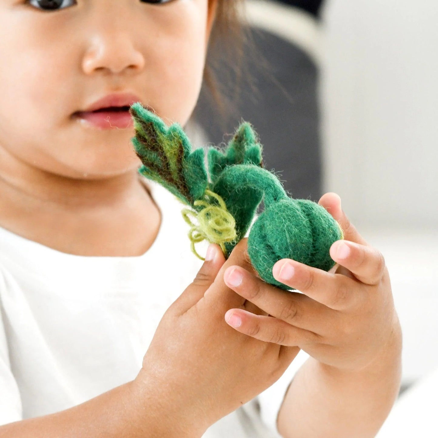 Felt Life Cycle of a Pumpkin