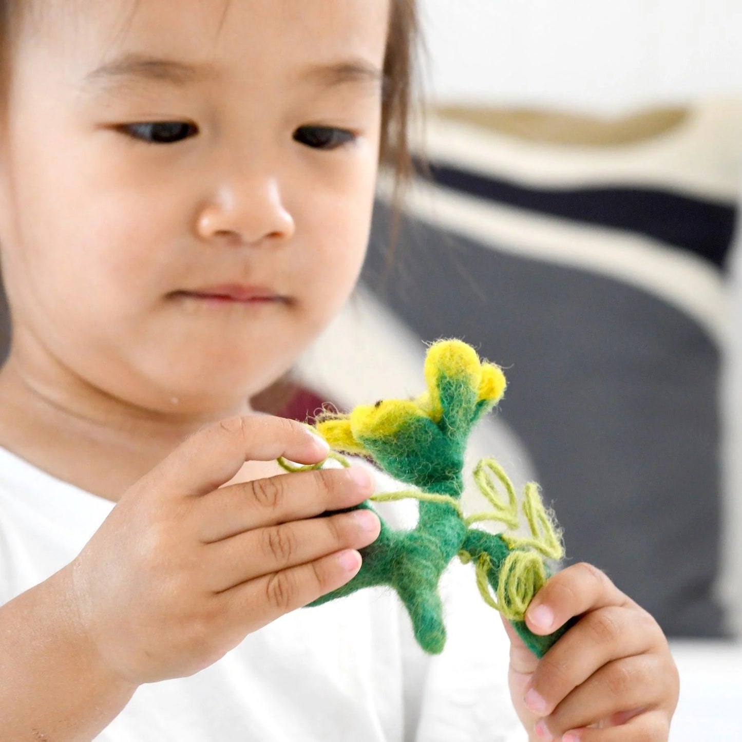 Felt Life Cycle of a Pumpkin