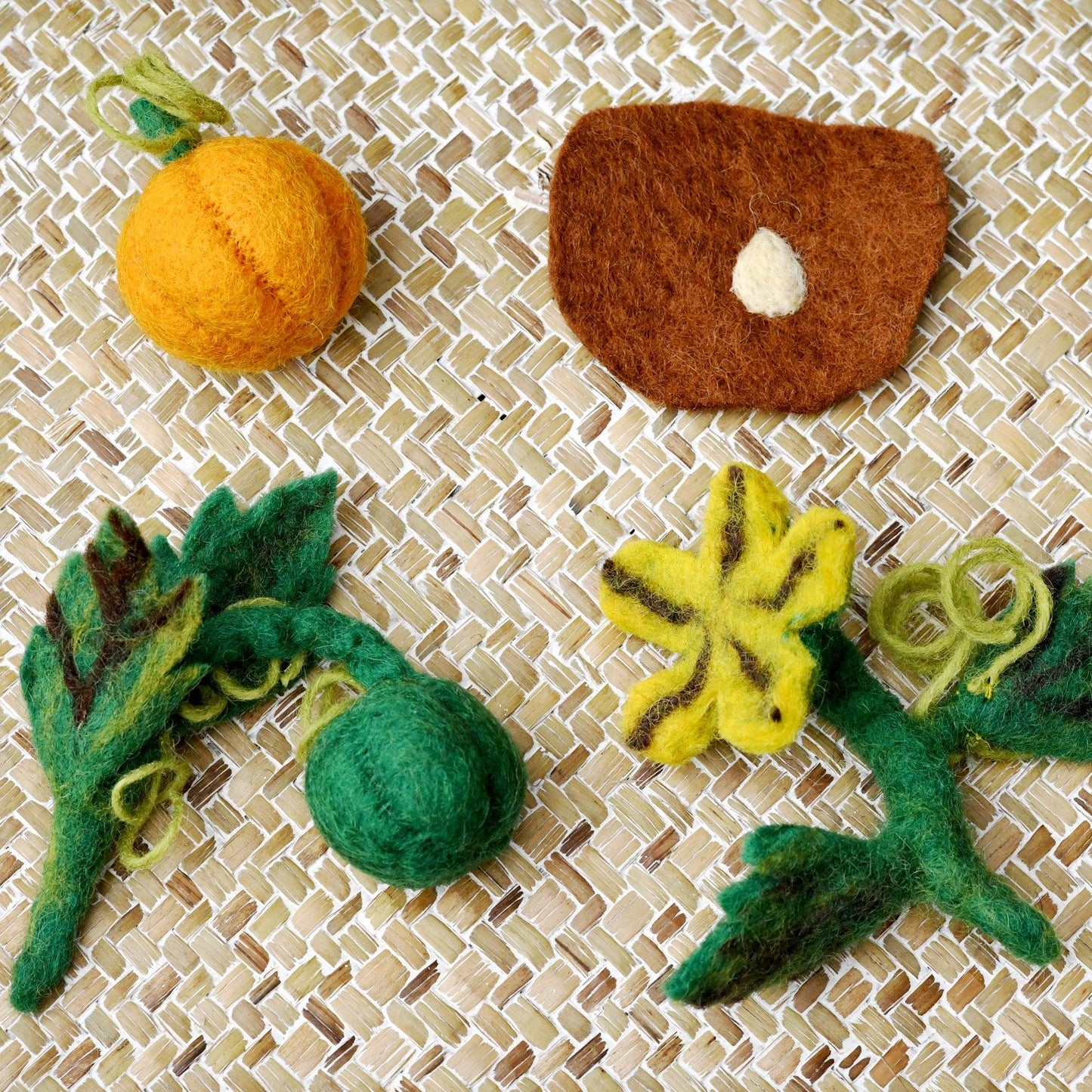 Felt Life Cycle of a Pumpkin