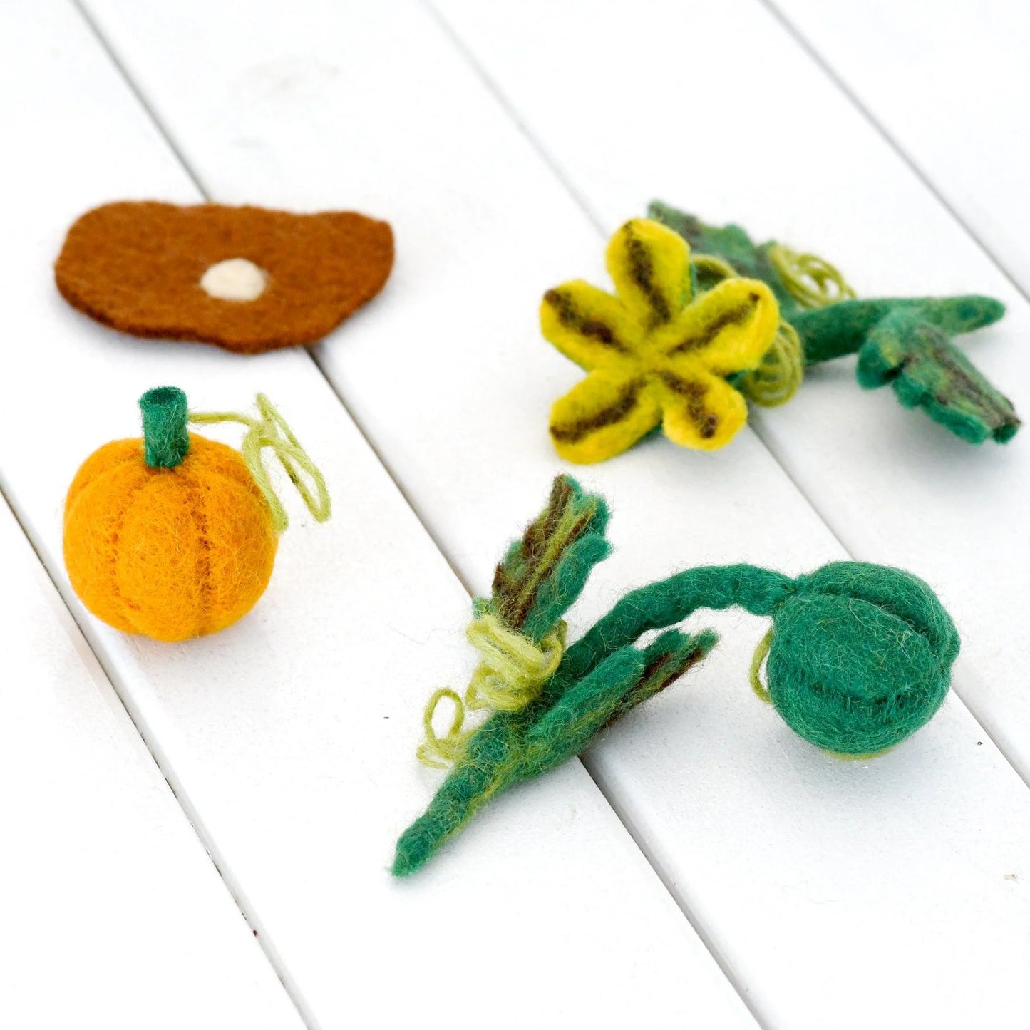 Felt Life Cycle of a Pumpkin