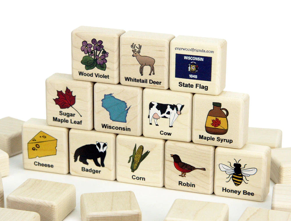 Wisconsin Wooden Matching Game
