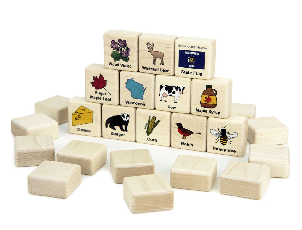 Wisconsin Wooden Matching Game