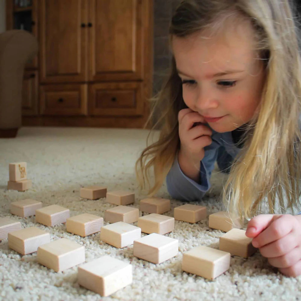 Wisconsin Wooden Matching Game